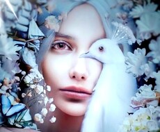 占いジプシー終着点。心に寄生する苦痛を消滅させます 理不尽な鑑定に翻弄され続けあなたはまだ報われていませんよね？