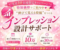 Twitterのインプレッション10日間増やします 指定数超えあり！10日間で10万インプを自由に振り分け可能！