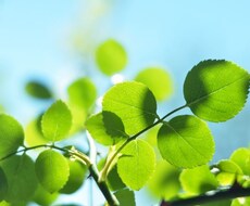 恋愛特化ヒーリング☆あなたの心を軽やかにします 現役霊能者による癒しのヒーリング