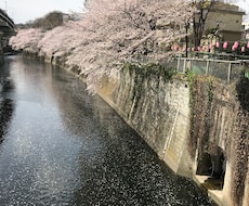 どんな悪い運命でも、良い運にかえることができ、ます イメージ1