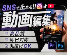 丁寧で見やすい動画編集します YouTube・SNS動画をご希望に合わせて編集します！