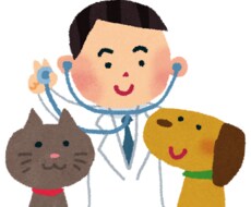 現役獣医師が獣医師を目指す方の進路相談に乗ります イメージ1