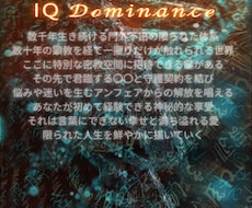 あなたのIQを大幅に上げる設計図を提供します IQ Dominance圧倒的なアップグレードで人生激変