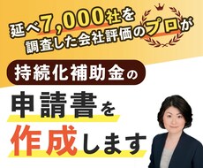 小規模事業者持続化補助金の事業計画書を作成します 【採択実績多数】計画の良さが伝わる様式2の作成を支援します