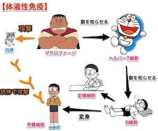 看護師目指してる方！頭に入りやすい勉強法教えます 脱力系！解剖生理学！楽しくわかりやすく解説します