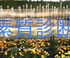 自己分析に役立ちます イメージ1