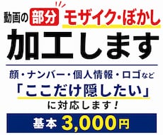 動画の部分モザイク・ぼかし加工します イメージ1