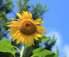 5分でもOK！何気ない会話お待ちしております イメージ1