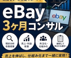 eBay外注化＋売上改善伴走3ヶ月コンサルします あなた専用の改善プランをご提案します