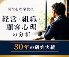 現役心理学教授が、経営・組織・顧客心理を分析します イメージ1