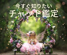 チャット鑑定10分✨✨✨霊視透視します 恋愛✨仕事✨家庭✨人間関係✨動物✨YES NOなど視ます⭐️