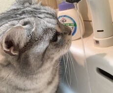 色々な心の悩みや相談事に親身にお聞きします