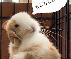 アナタのなんやかんや受け止めます イメージ1