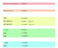 特定購入者様専用……イラスト描きます こちらの出品にご案内した相談者、購入者様専用ページです。