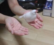 日頃の不満や愚痴あるいは悩みを聞きます イメージ1