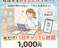 看護実習記録・アセスメントの悩みスッキリ解決します イメージ1