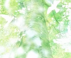 貴方のお悩みに明るい光が差し込むよう丁寧に占います イメージ1
