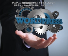 WordPressの不具合エラーの原因を調査します イメージ1