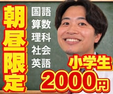 先着順！小学生｜朝昼！オンライン家庭教師します イメージ1