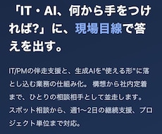 SaaS定着支援/業務設計支援を行います イメージ1