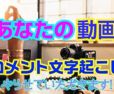 動画の文字おこしやります
