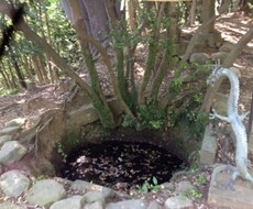あなたの隠された能力をお伝えします 今の自分に納得出来ない人！特性を活かして楽しく幸せに！