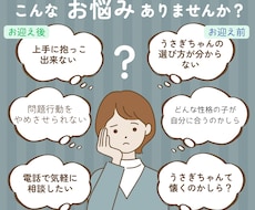 うさぎちゃんのあらゆる御相談お伺いします 動物有資格者飼育アドバイザー活動10年以上の経験