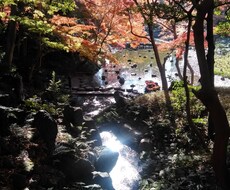 １つまで、インスピレーションで透視します イメージ1