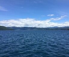 草木や花、空などの風景写真を提供します イメージ1