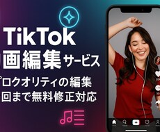 SNS用ショート動画の編集作業承ります イメージ1