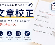 文章校正｜誤字・表記ゆれをチェックします イメージ1