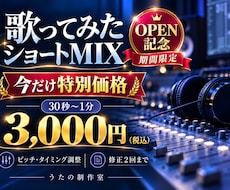 歌ってみたのショートMIXを制作します イメージ1