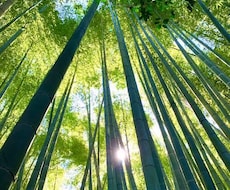 あなたの体験や考えお聴き致します イメージ1
