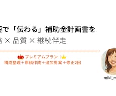 補助金・経営計画書を採択レベルで磨き上げます 仕上げ重視・採択率を高めたい方向けの実務対応プラン