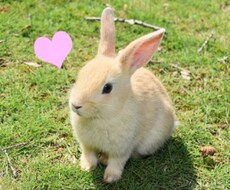 子連れ再婚のお悩み相談のります イメージ1