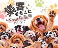 ペット専門！インスタ・SNS投稿画像制作します イメージ1