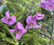 実習中のかた！愚痴でもなんでもききます イメージ1