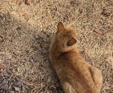 グチ、世間話、お悩み。なんでもお話しお聞きします イメージ1