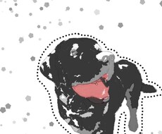 ペットのイラスト作成します イメージ1