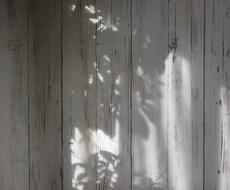 話し相手になります イメージ1