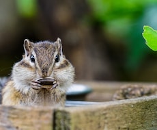 あなたの魅力を引き出す自然な写真をお撮りします イメージ1