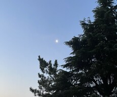 アドバイスも言わずただあなたの話を聞きます イメージ1