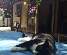 あなたの話聞きます イメージ1