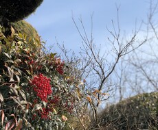 病気で辛いなら話し相手になります イメージ1