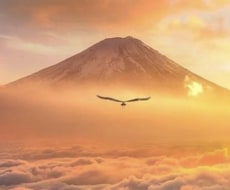 望む未来を確実に掴むための方法、ガイドします 最短距離で叶えたい方、必見。圧倒的に叶います。