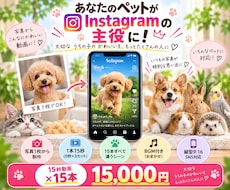 ペット写真1枚から可愛いリール動画15本作ります イメージ1