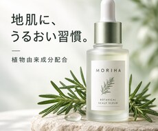 支給写真とAI背景で商品画像3枚を作ります イメージ1