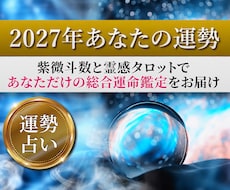 めちゃくちゃ当たる紫微斗数で2027年運勢占います イメージ1