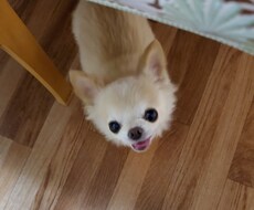 どんなご相談でも！とにかく親身に寄り添います イメージ1