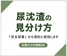 尿沈渣の見分け方を「見る順番」から個別に解説します イメージ1